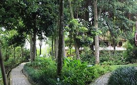 Bukit Lawang Ecolodge